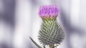 スライディング擦り傷の効果的な治療法とは？