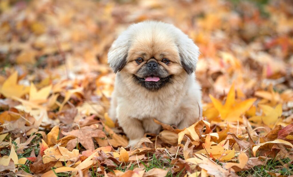 170cmのバットの長さはどのように選べば良いの？