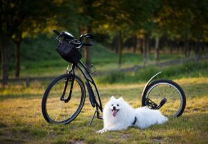 怪我明けの野球トレーニング再開時期はいつがベスト？