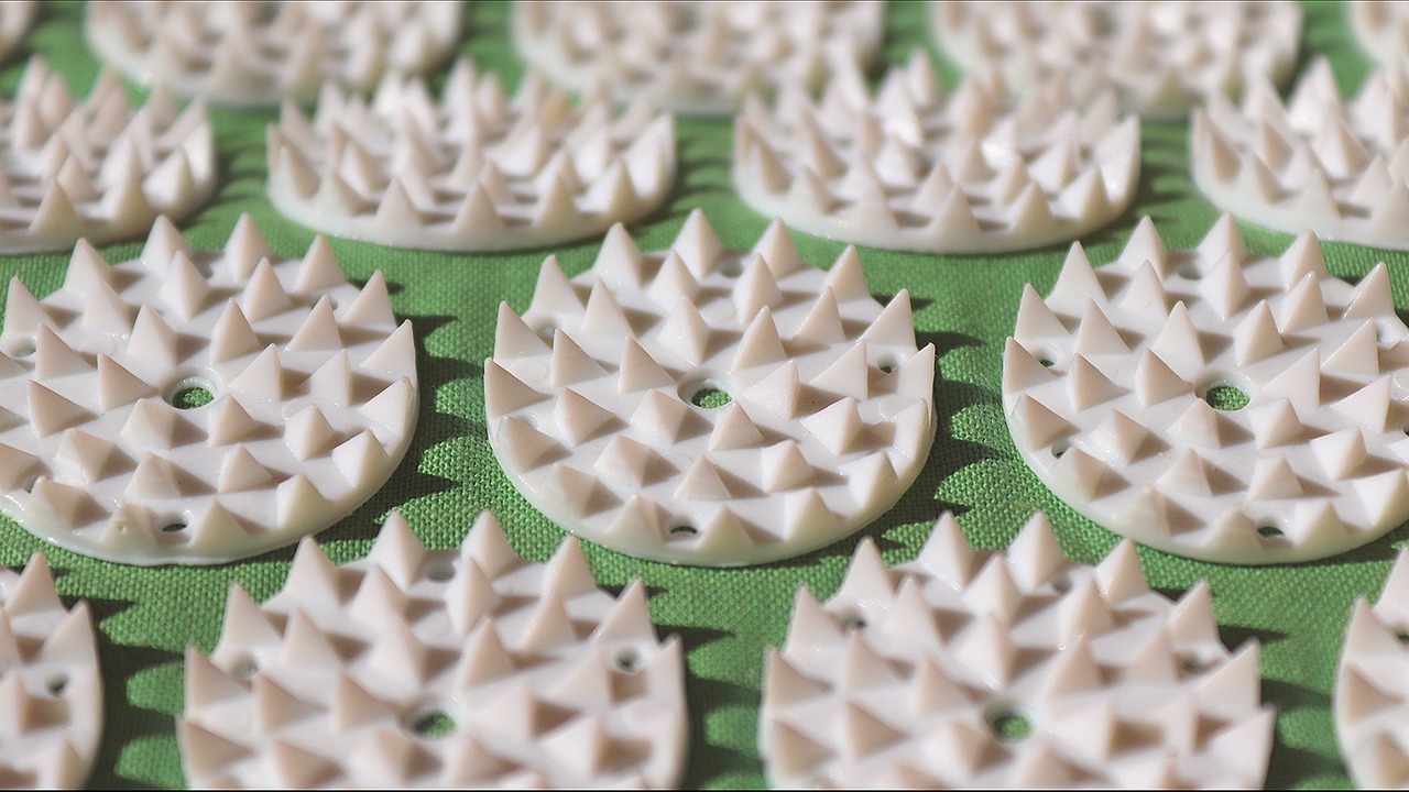 野球における腰痛の予防に効果的な筋トレは？