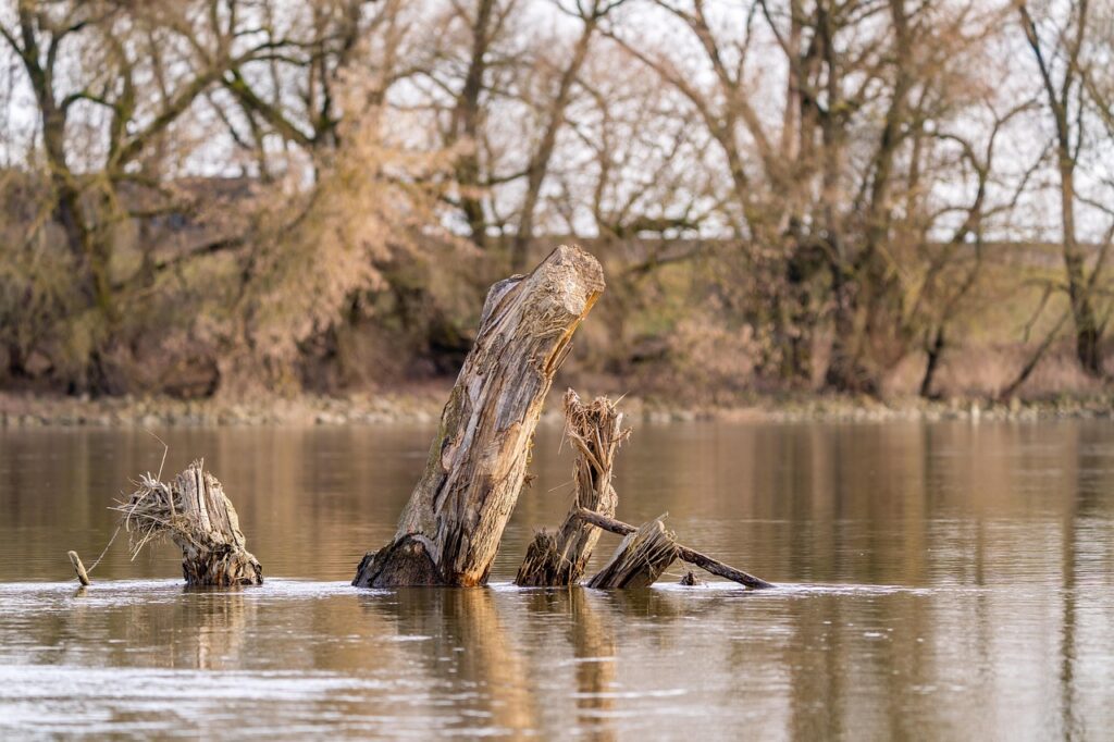 腹圧と体幹の安定が健康に与える重要性とは？