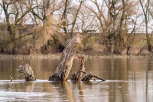 腹圧と体幹の安定が健康に与える重要性とは？