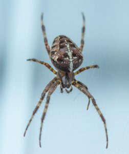 膝が動かない時に試したいストレッチ方法は？