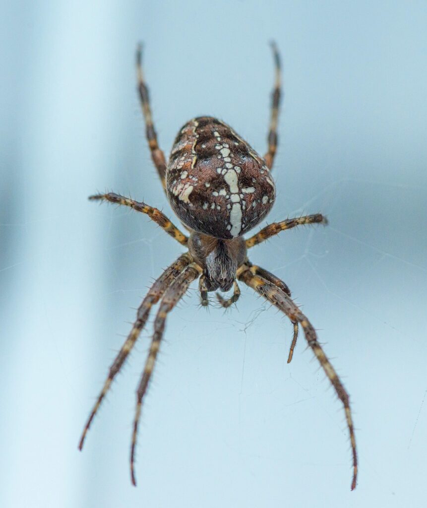 膝が動かない時に試したいストレッチ方法は？