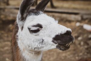 シューズのインソールで足への負担軽減はどう実現する？