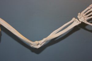 肘を支点にした運動の考え方とは？